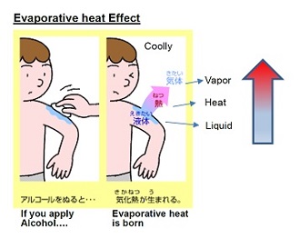 A/C Bed (Air Conditioning Bed)